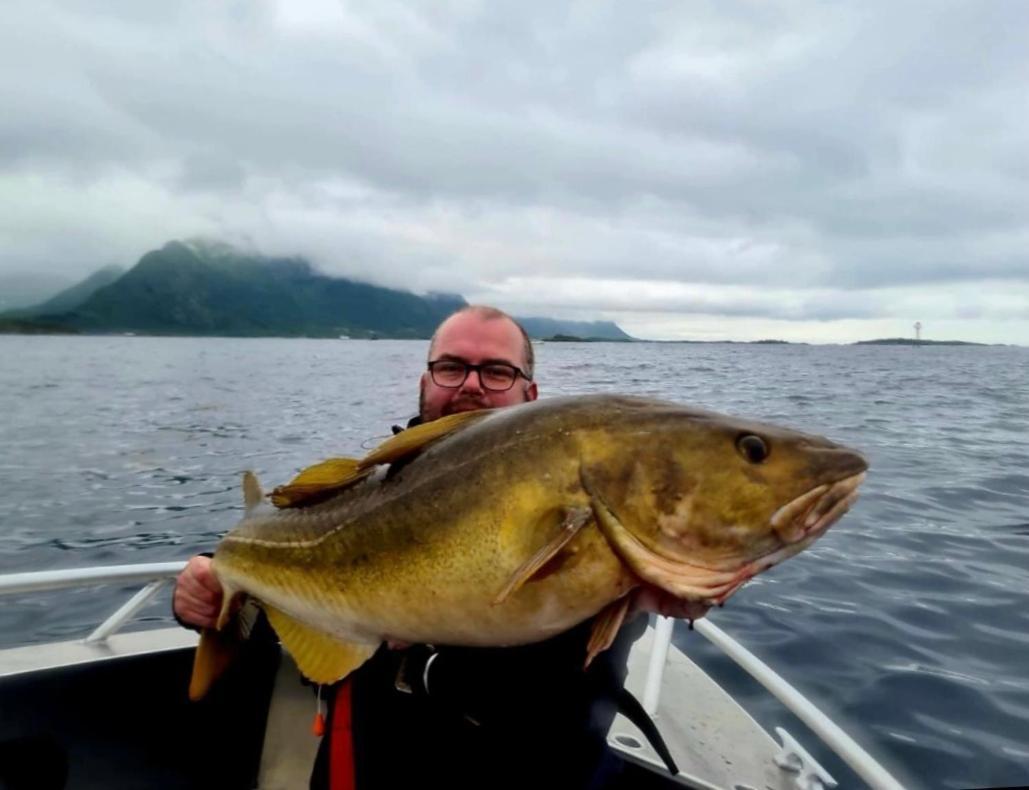 Lofoten And Vesteralen Kveldro Myrland Bagian luar foto
