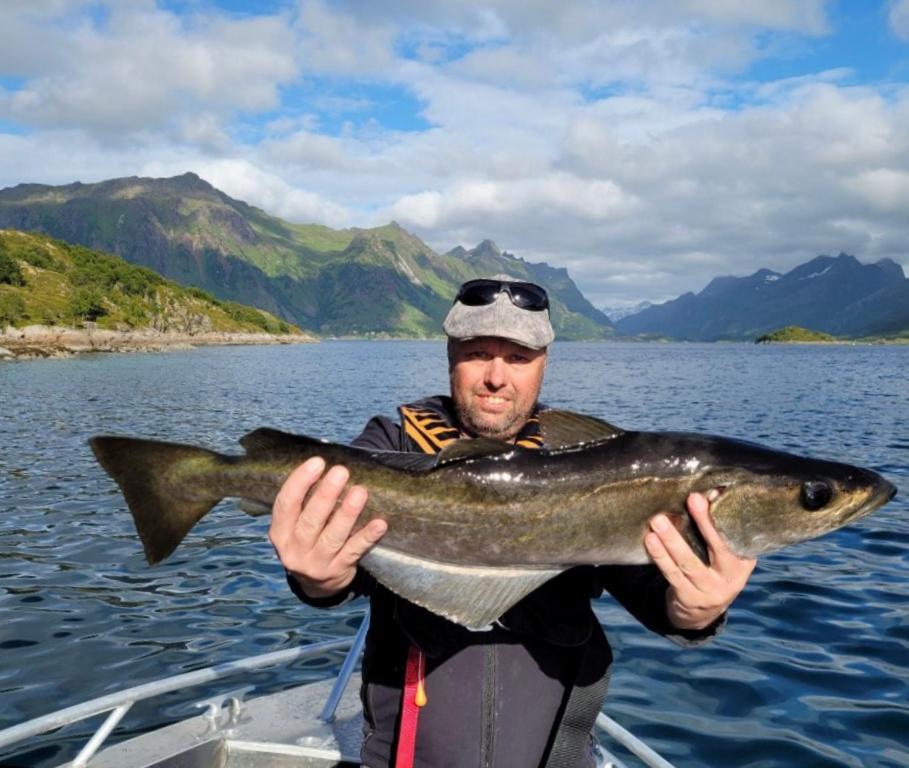 Lofoten And Vesteralen Kveldro Myrland Bagian luar foto
