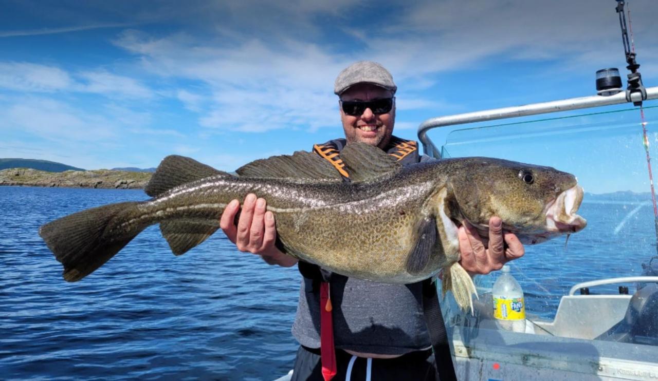 Lofoten And Vesteralen Kveldro Myrland Bagian luar foto