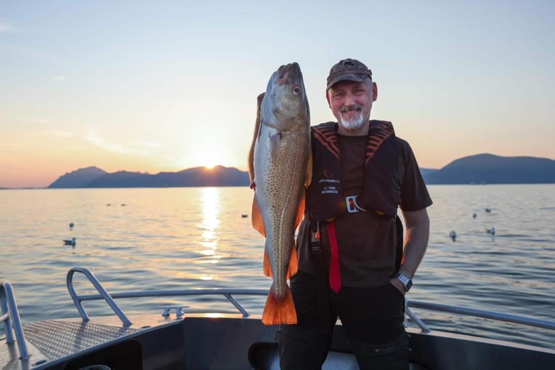 Lofoten And Vesteralen Kveldro Myrland Bagian luar foto