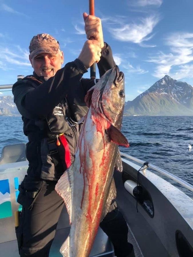 Lofoten And Vesteralen Kveldro Myrland Bagian luar foto