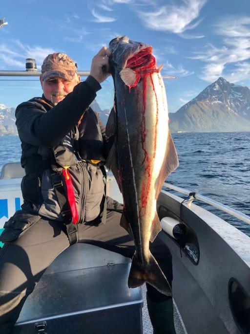 Lofoten And Vesteralen Kveldro Myrland Bagian luar foto