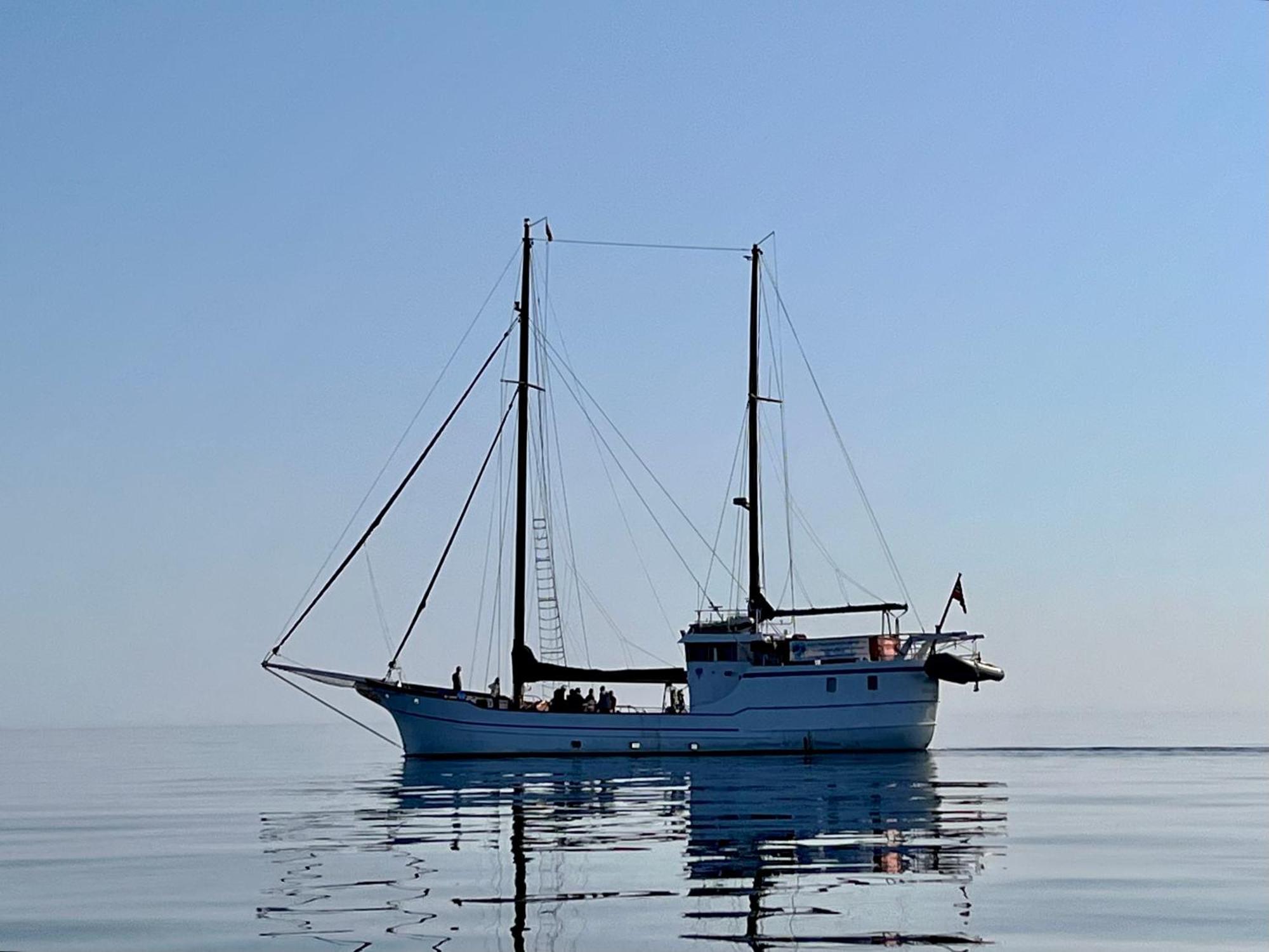 Lofoten And Vesteralen Kveldro Myrland Bagian luar foto