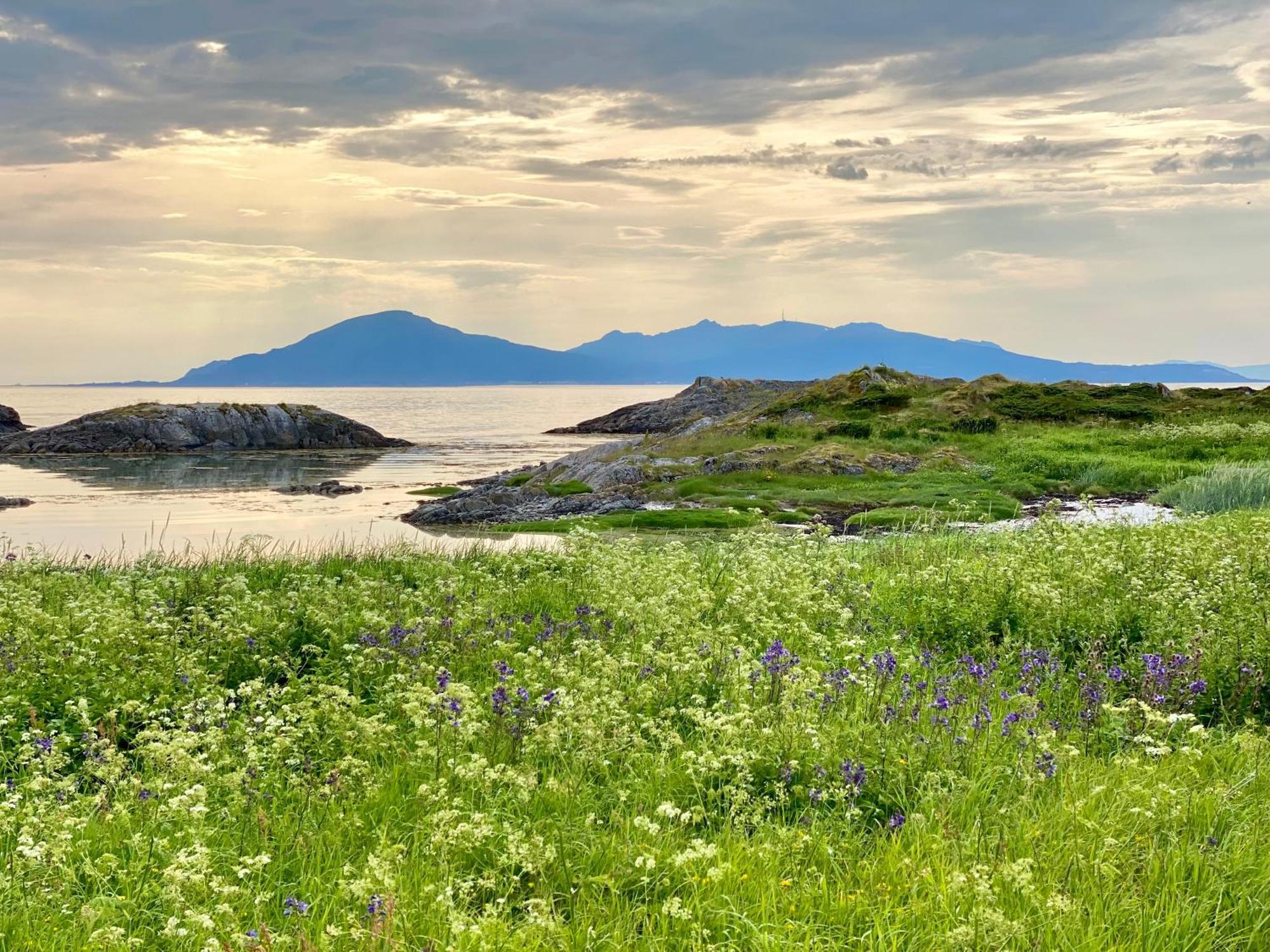 Lofoten And Vesteralen Kveldro Myrland Bagian luar foto