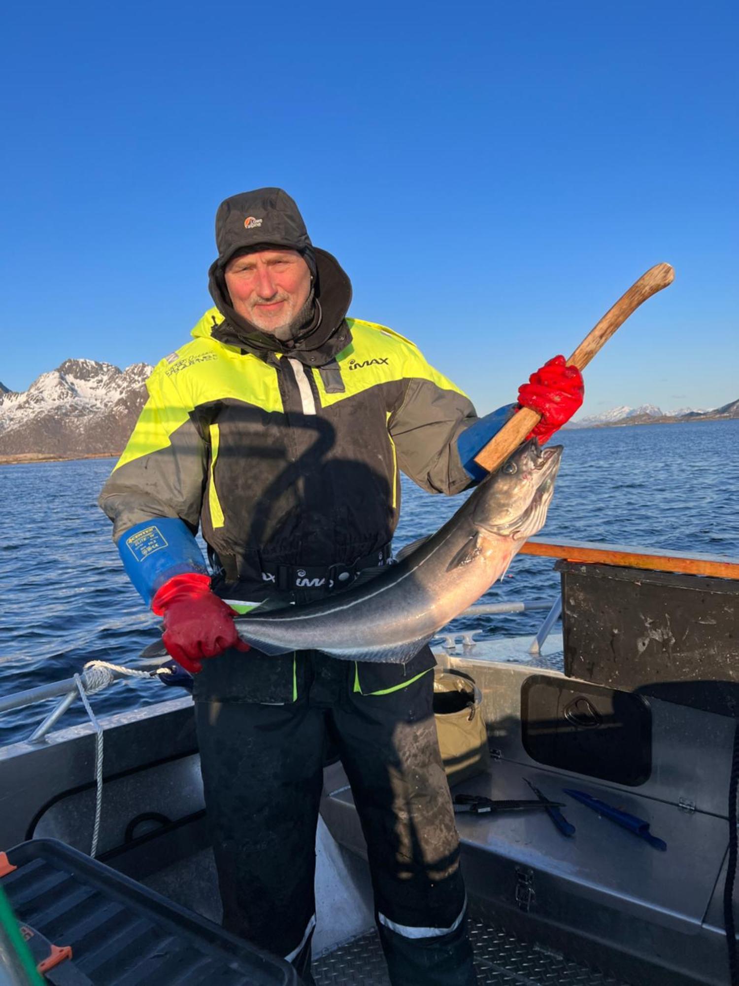 Lofoten And Vesteralen Kveldro Myrland Bagian luar foto